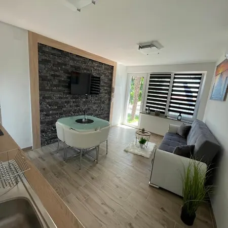 Apartman Gabrijela * 奥帕提亚